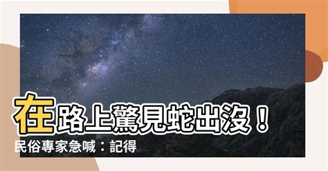 出門看到蛇|【在路上看到蛇代表什麼】天氣熱蛇類狂現蹤！在路上看到蛇代表。